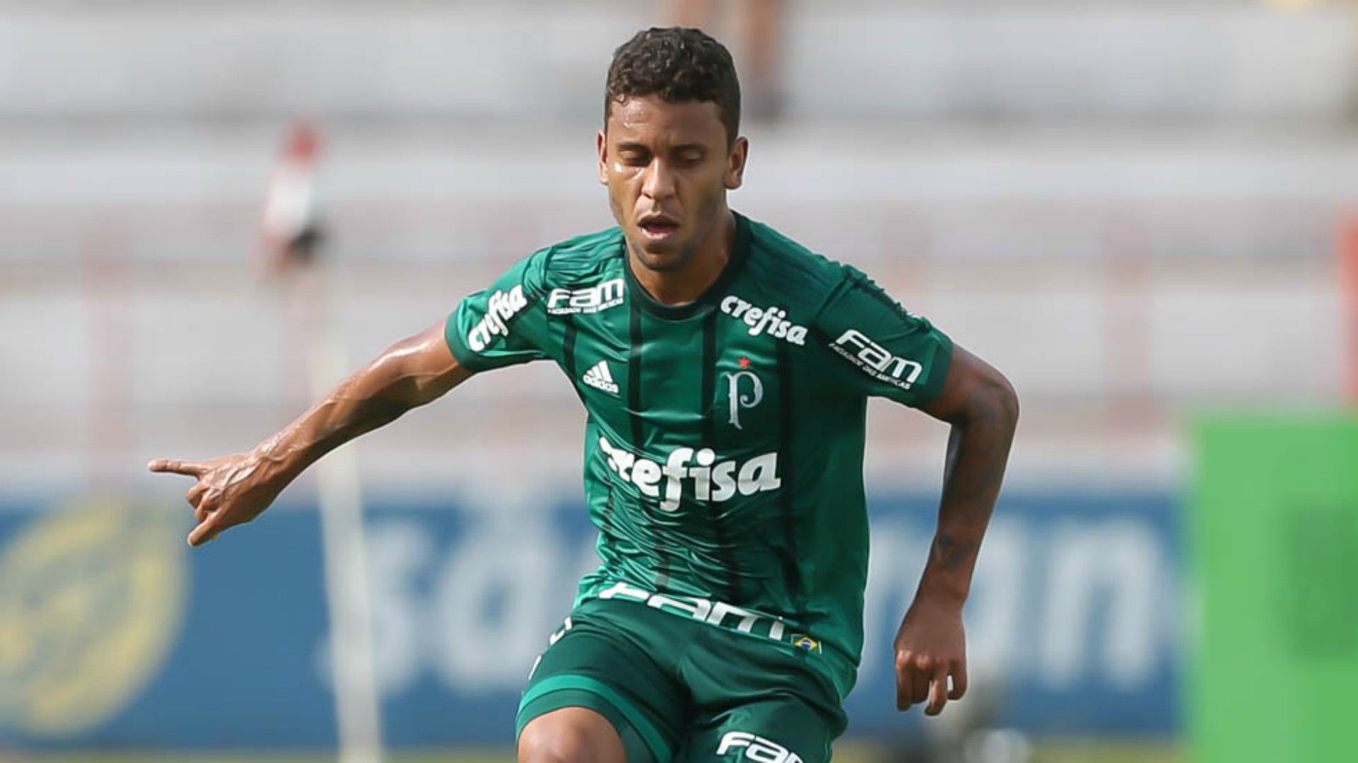 Marcos Rocha Botafogo-SP Palmeiras Paulista 21012018