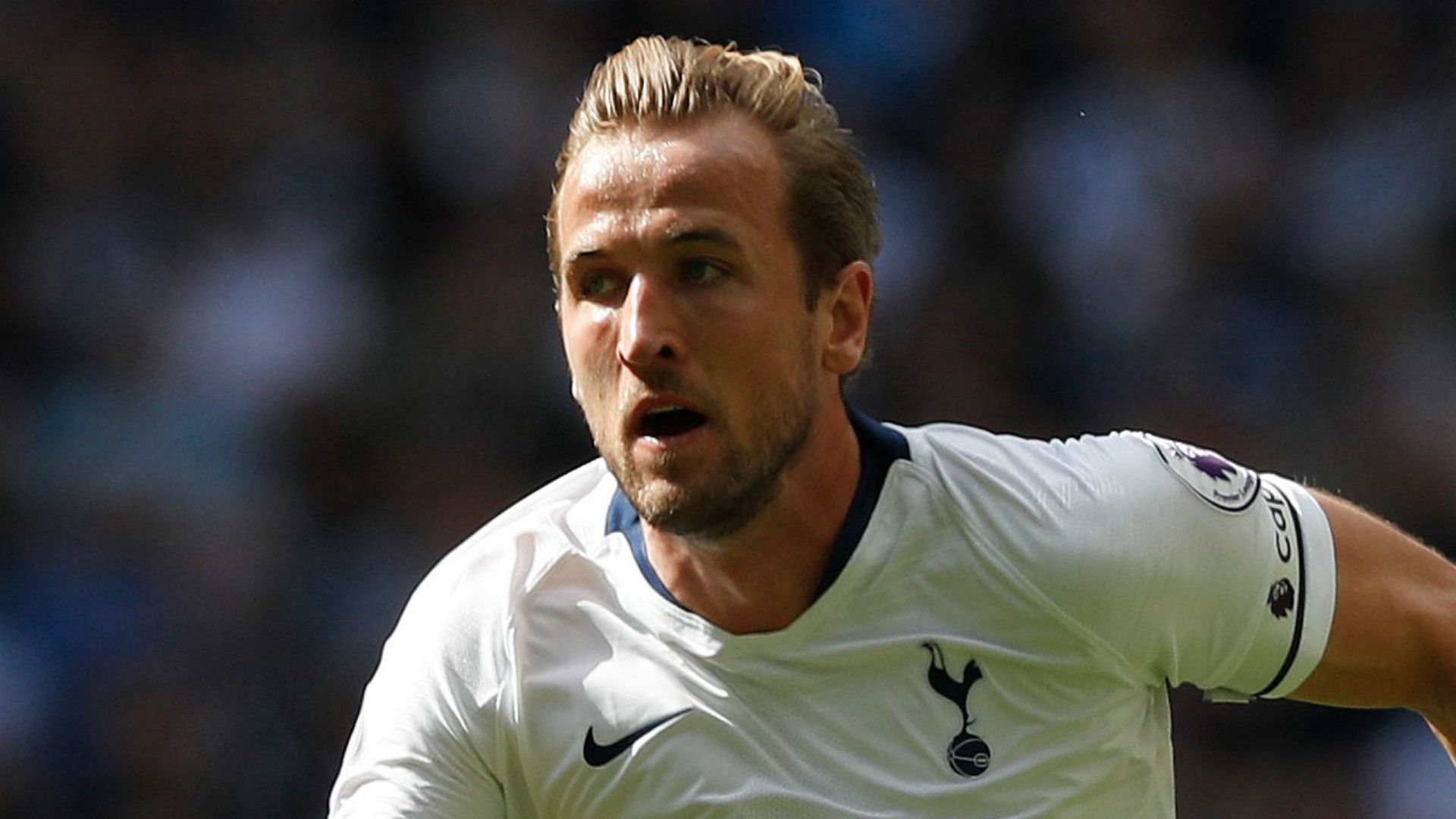 Harry Kane Tottenham 2018-19