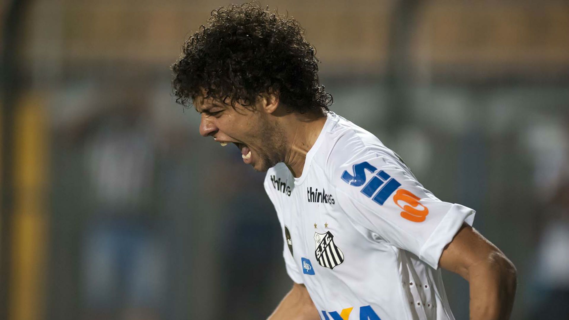 Victor Ferraz Santos Botafogo Brasileirão 07 06 2017