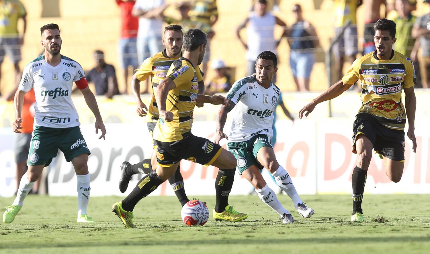 Novorizontino x Palmeiras