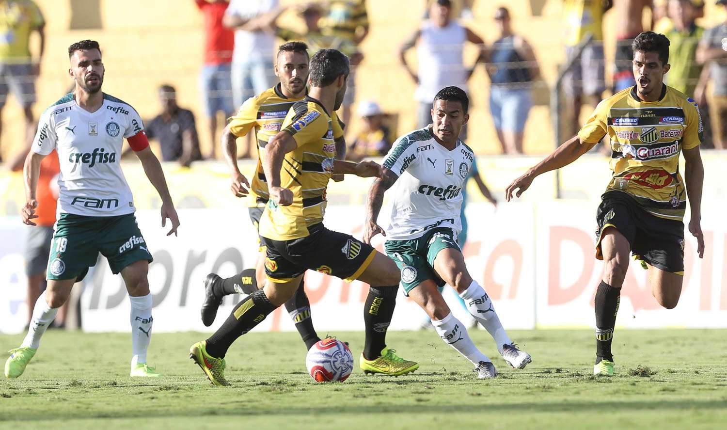 Novorizontino x Palmeiras