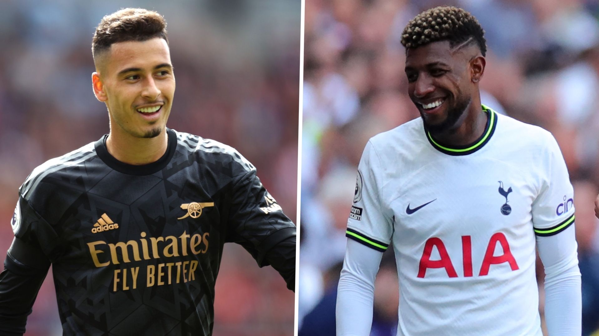 Martinelli Royal GFX