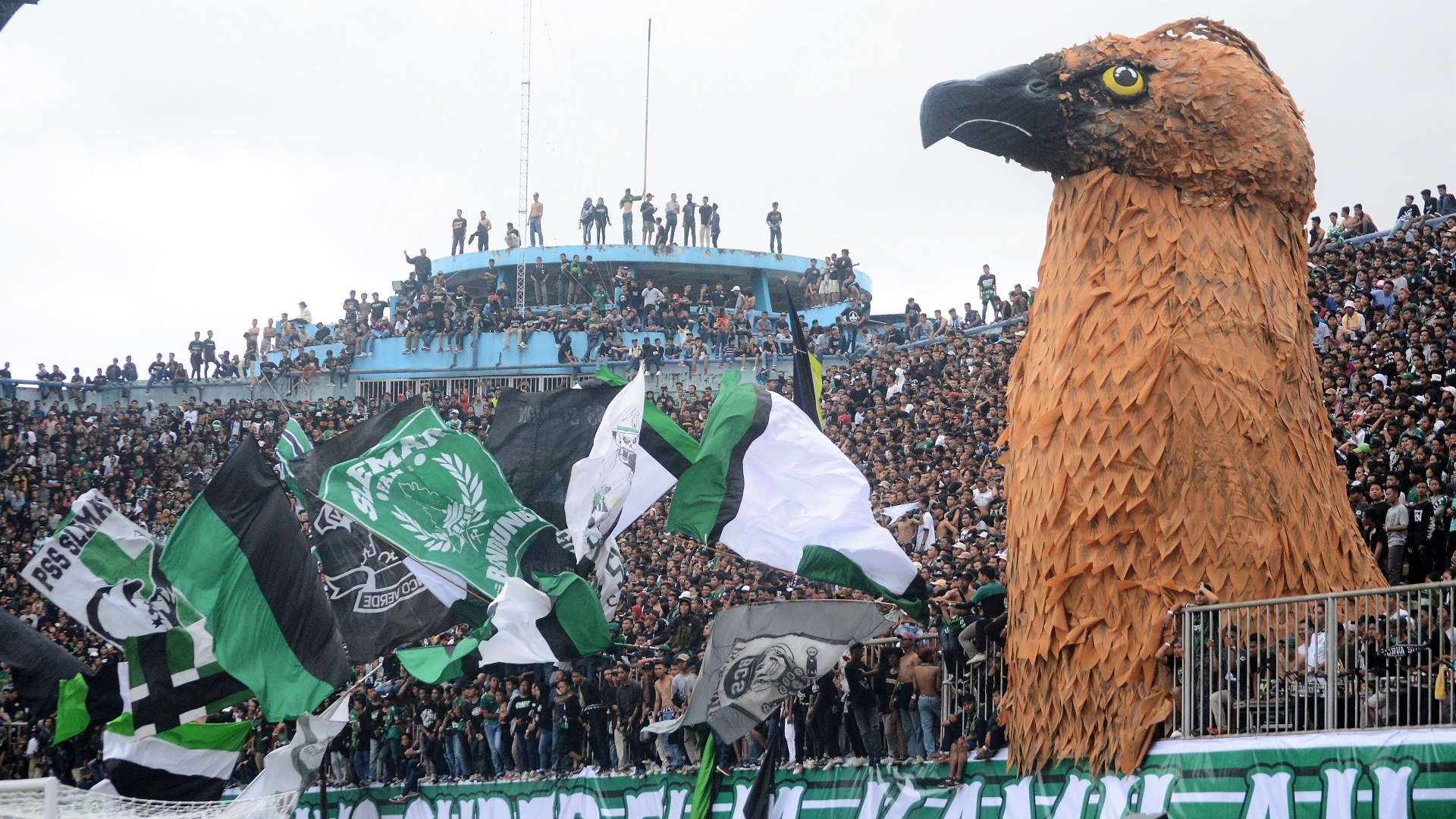 PSS Sleman Fans | BCS