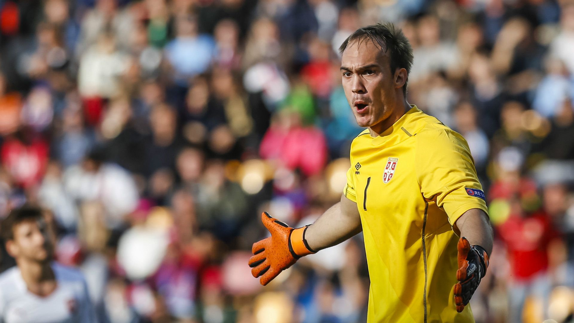 Marko Dmitrovic 20062015