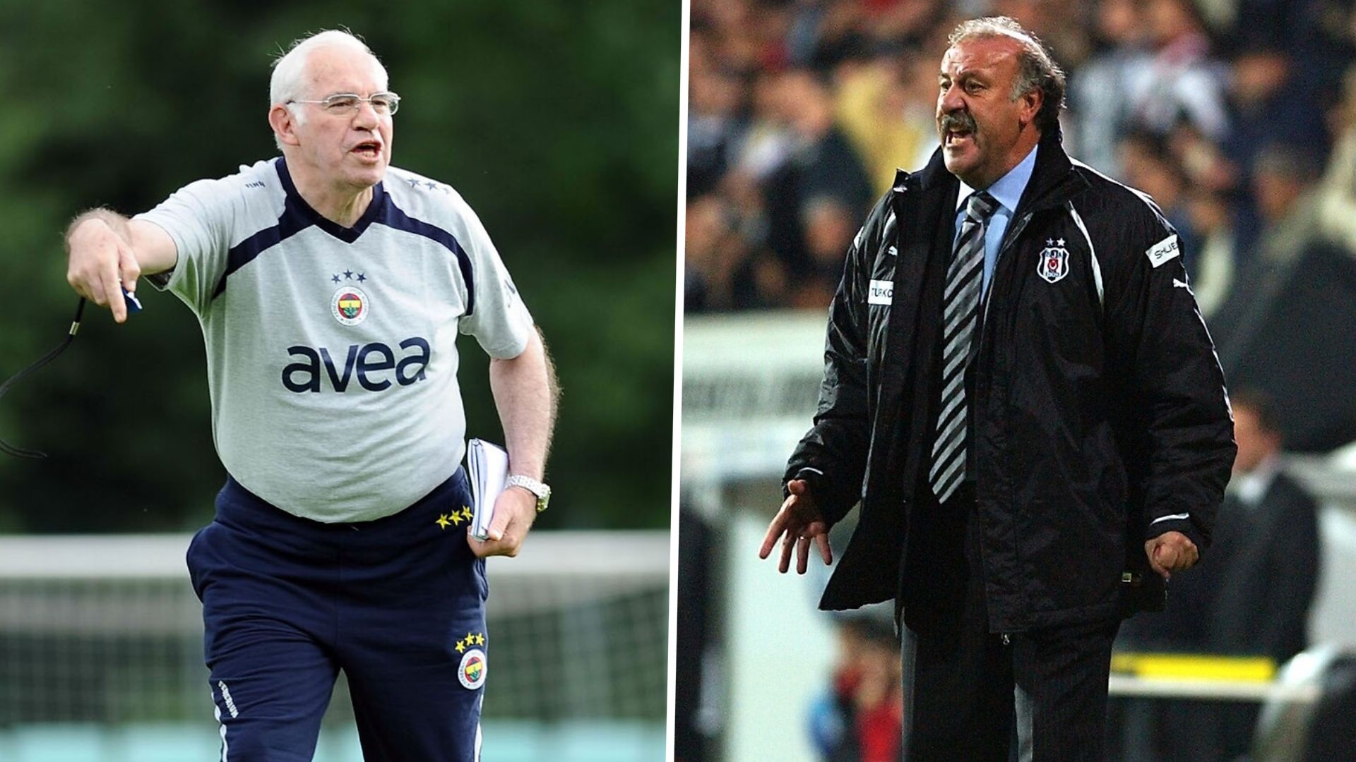 Luis Aragones, Vicente Del Bosque