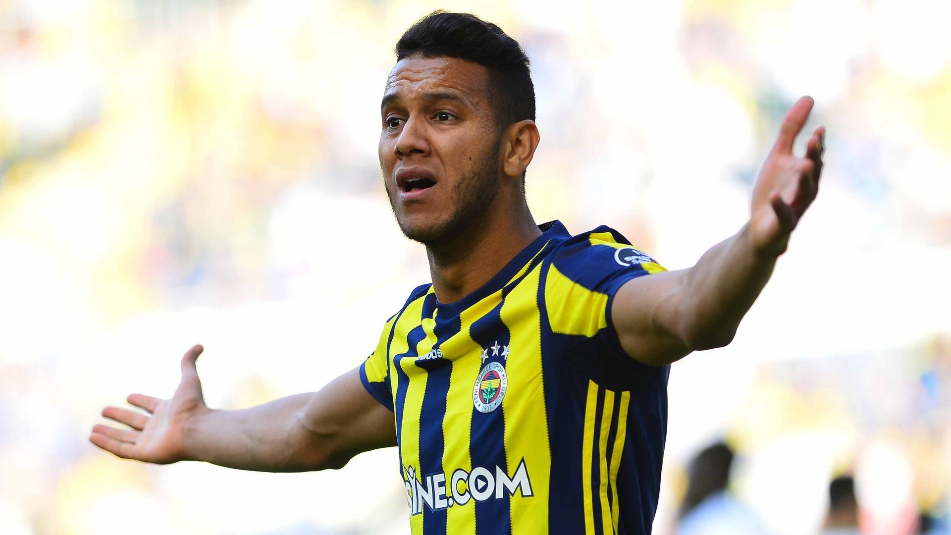 Josef de Souza Fenerbahce