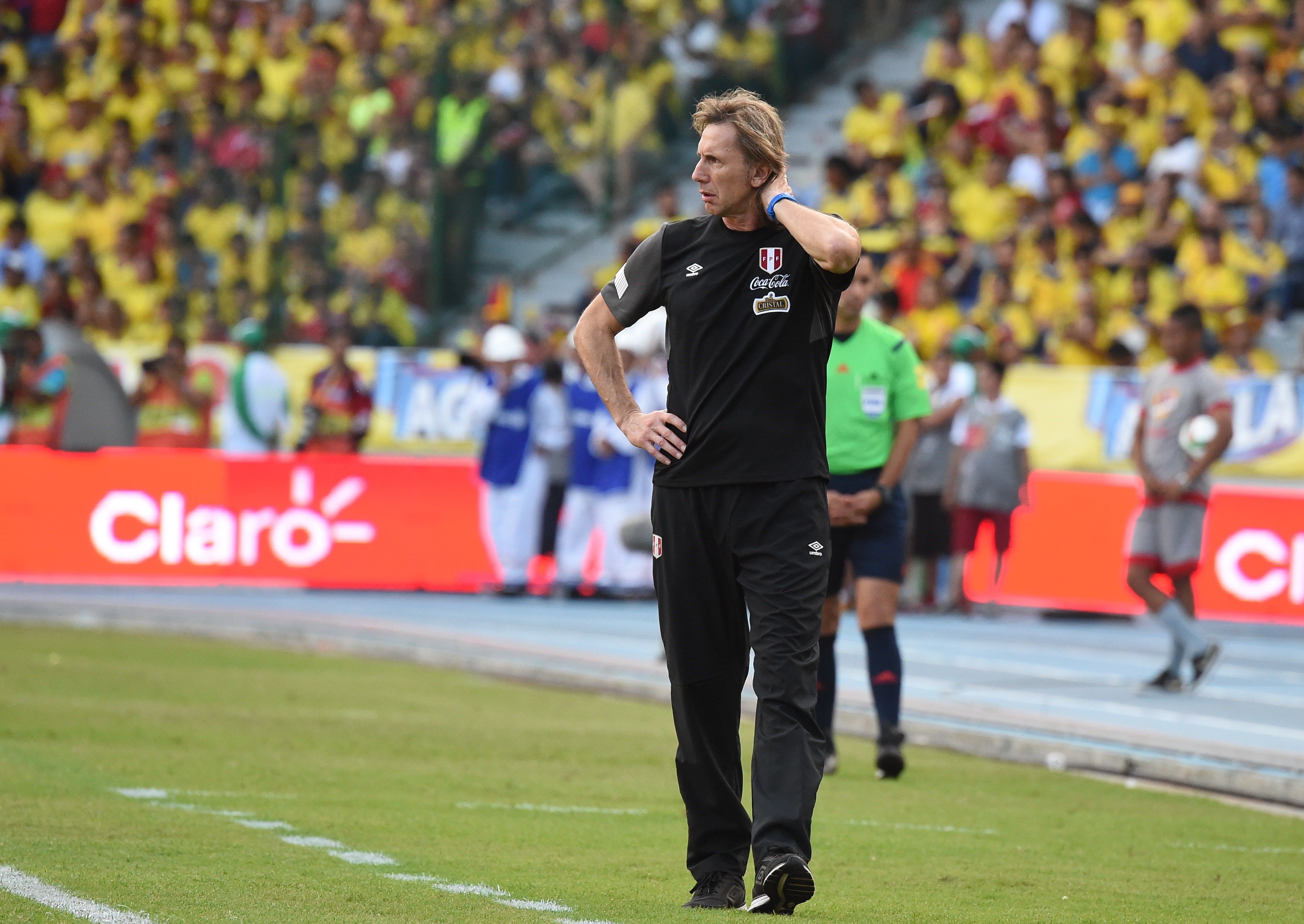 Ricardo Gareca DT Perú vs Colombia Galería