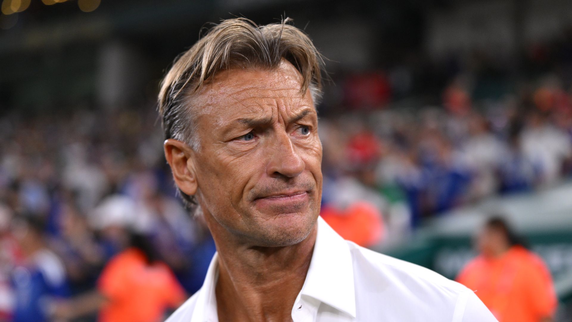 renard