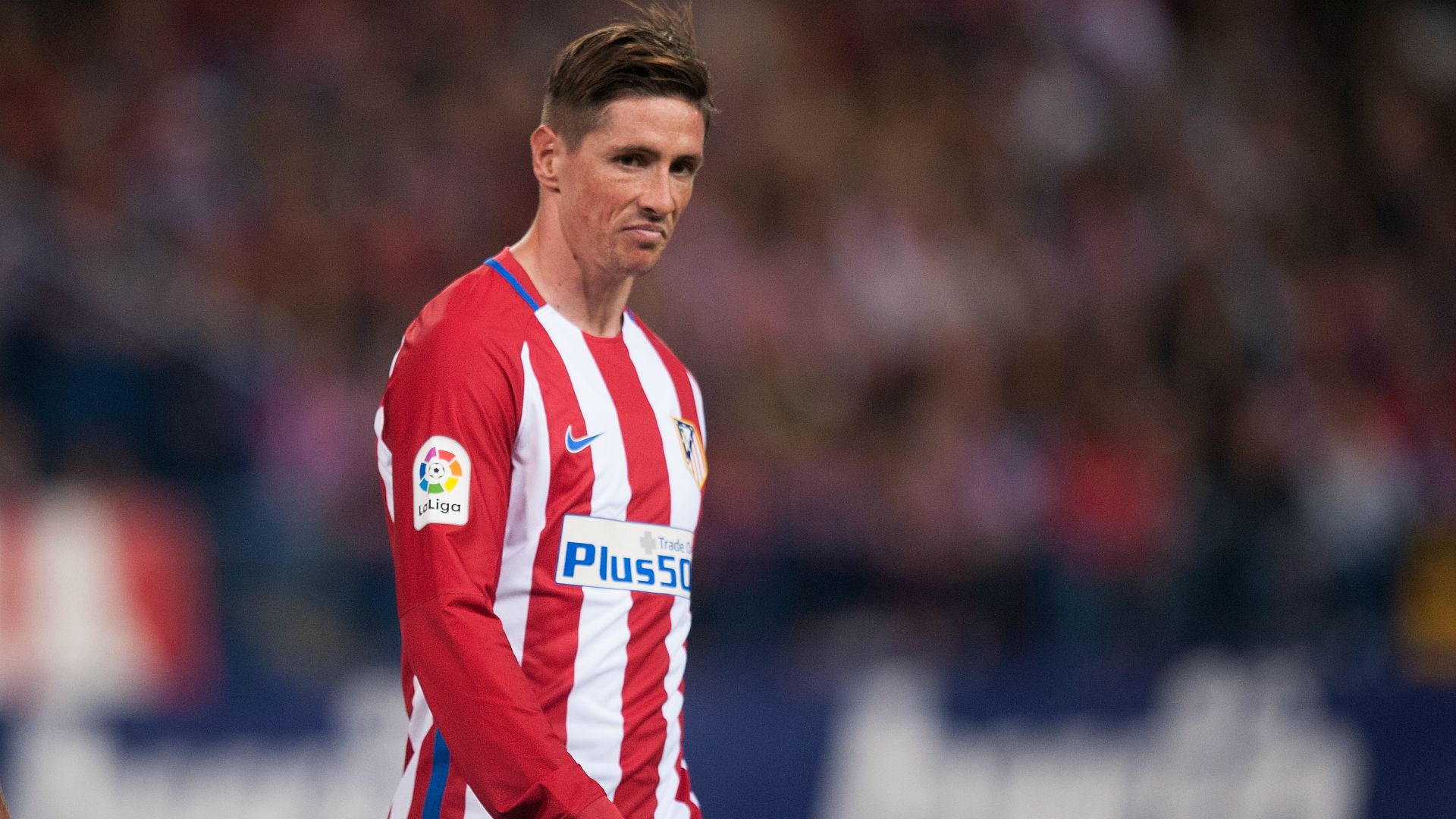 Fernando Torres