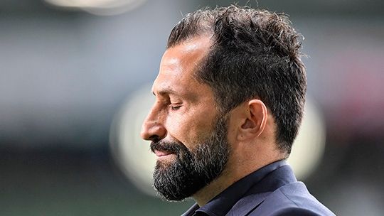 하산 살리하미지치