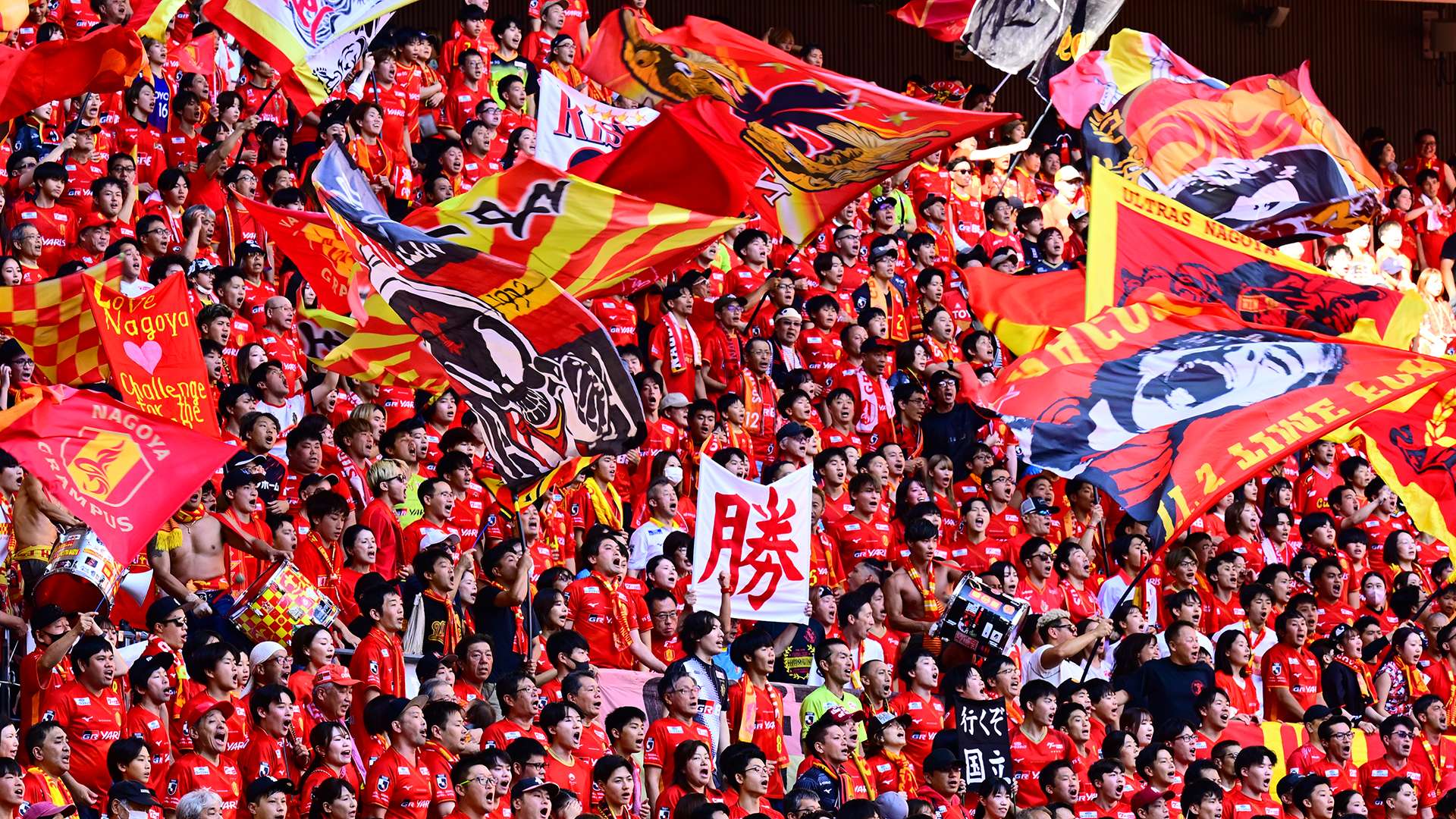 nagoya_grampus