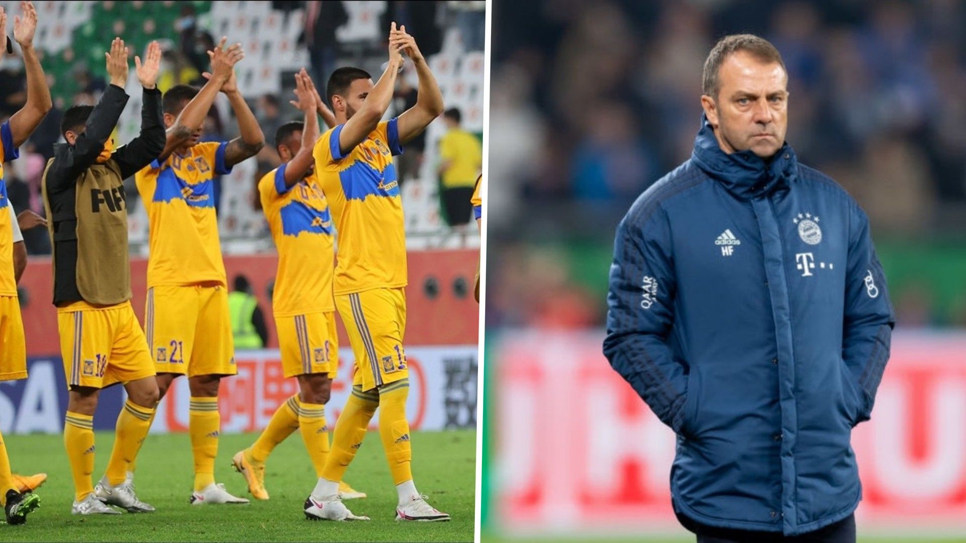 Tigres Hans-Dieter Flick