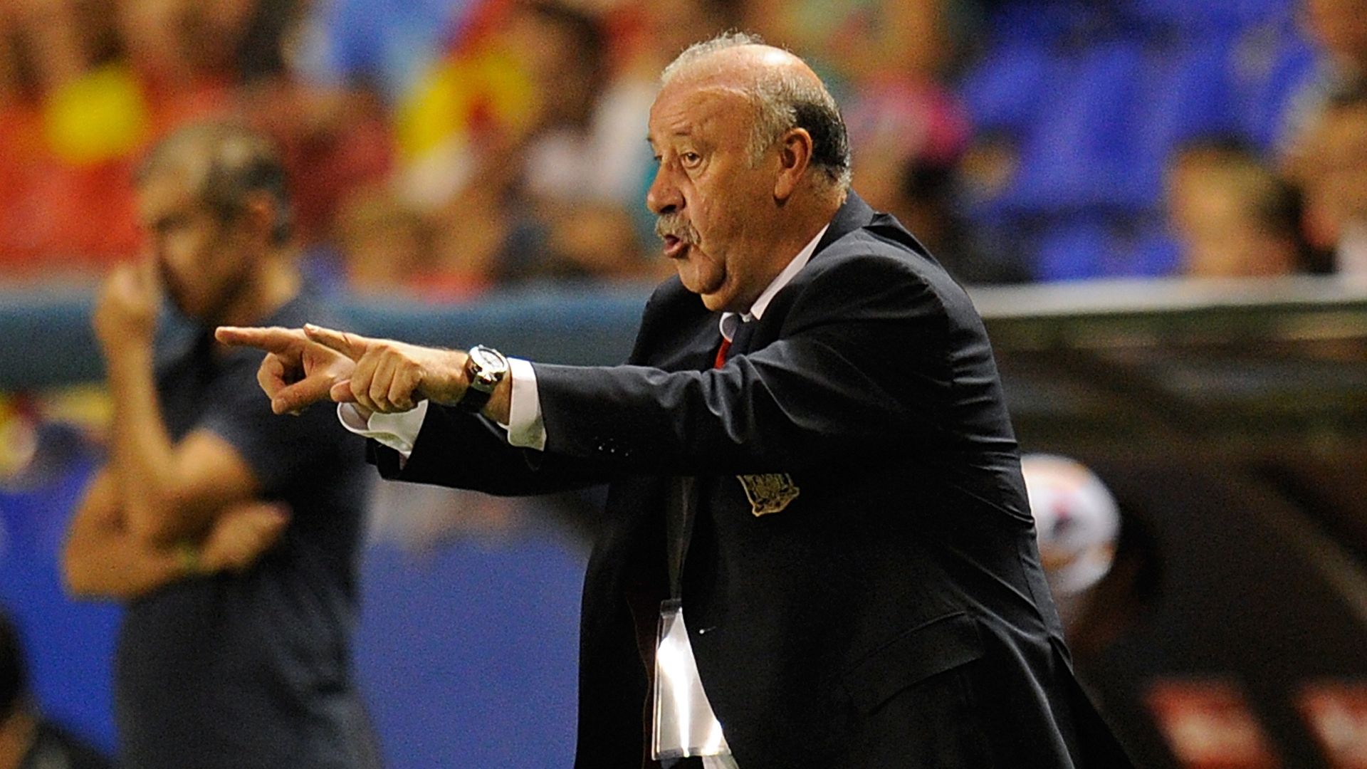 Vicente del Bosque Spain EURO 2016 Group C Qualifier 08092014