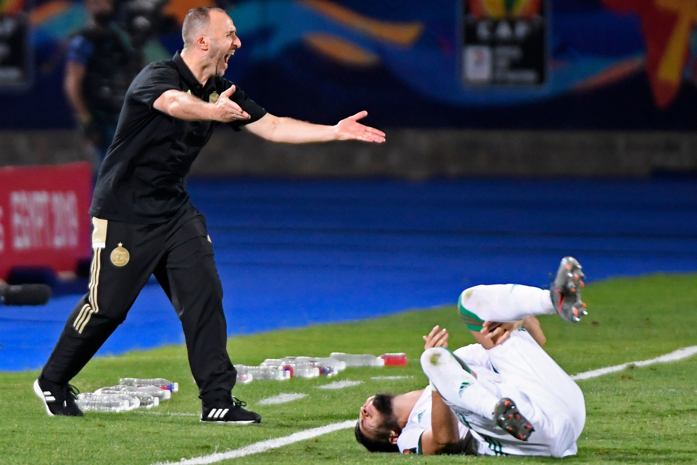 الجزائر - كينيا