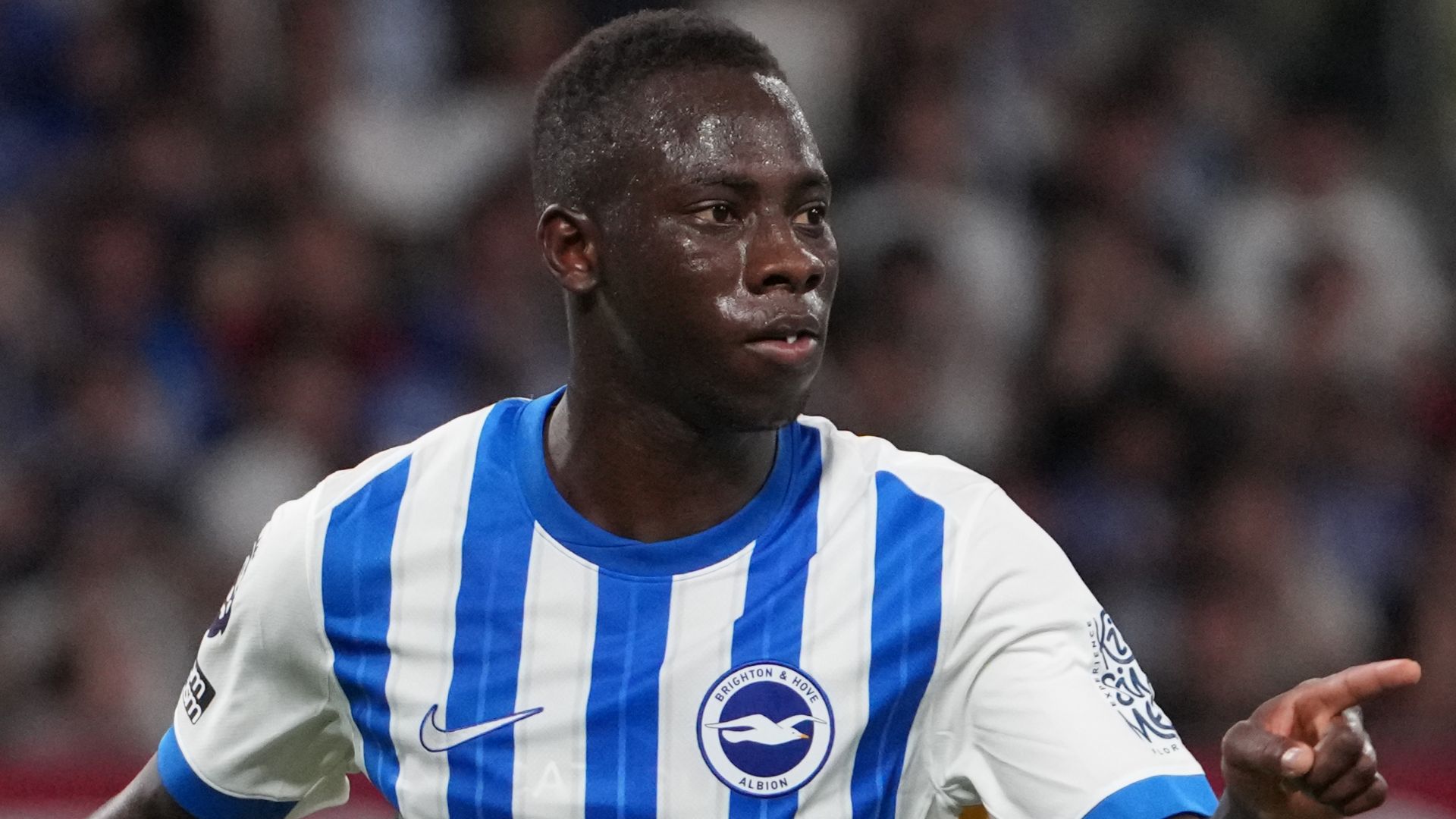 Yankuba Minteh Brighton 2024-25