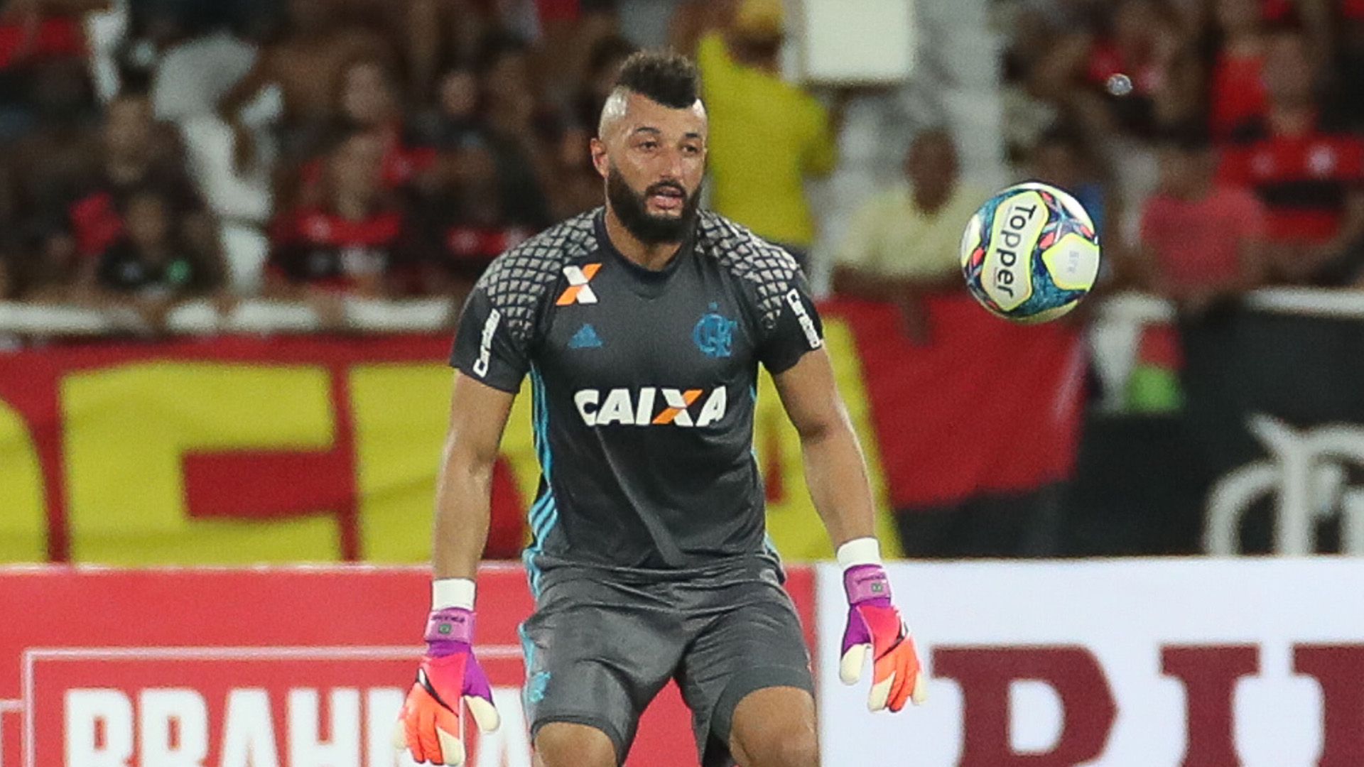 Alex Muralha Botafogo Flamengo Carioca 12022017