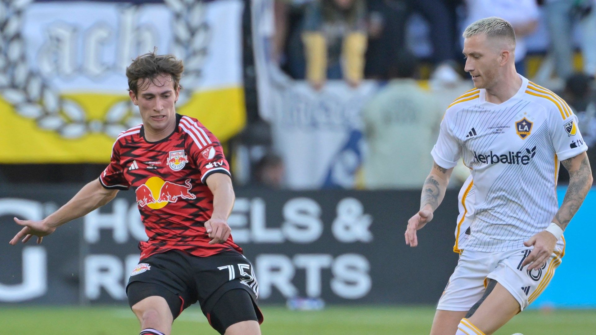 Daniel Edelman RBNY 2024