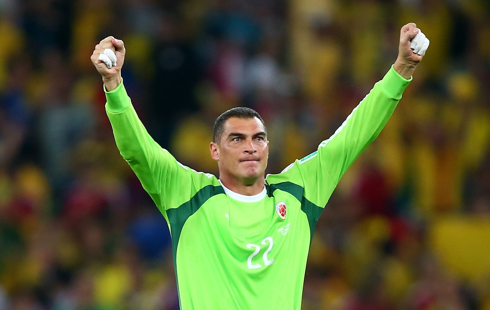 Faryd Mondragón Galería