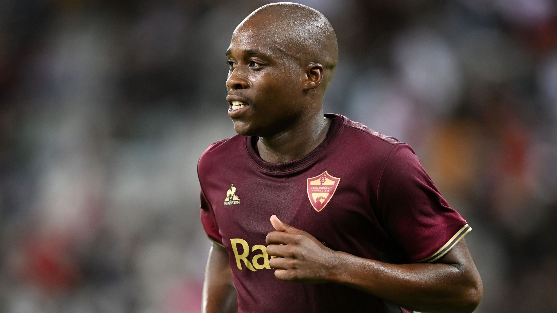 Darrel Matsheke, Stellenbosch