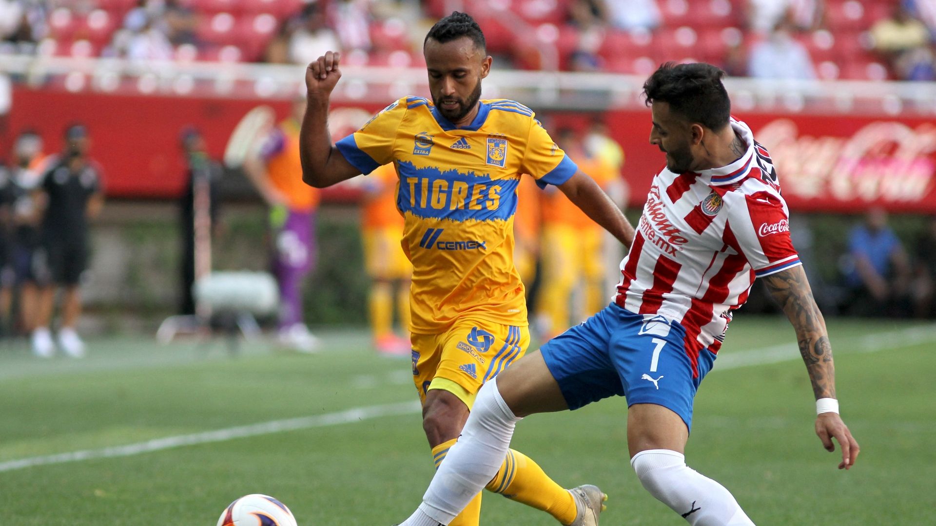 Jordan Sierra Tigres Guardianes 2021