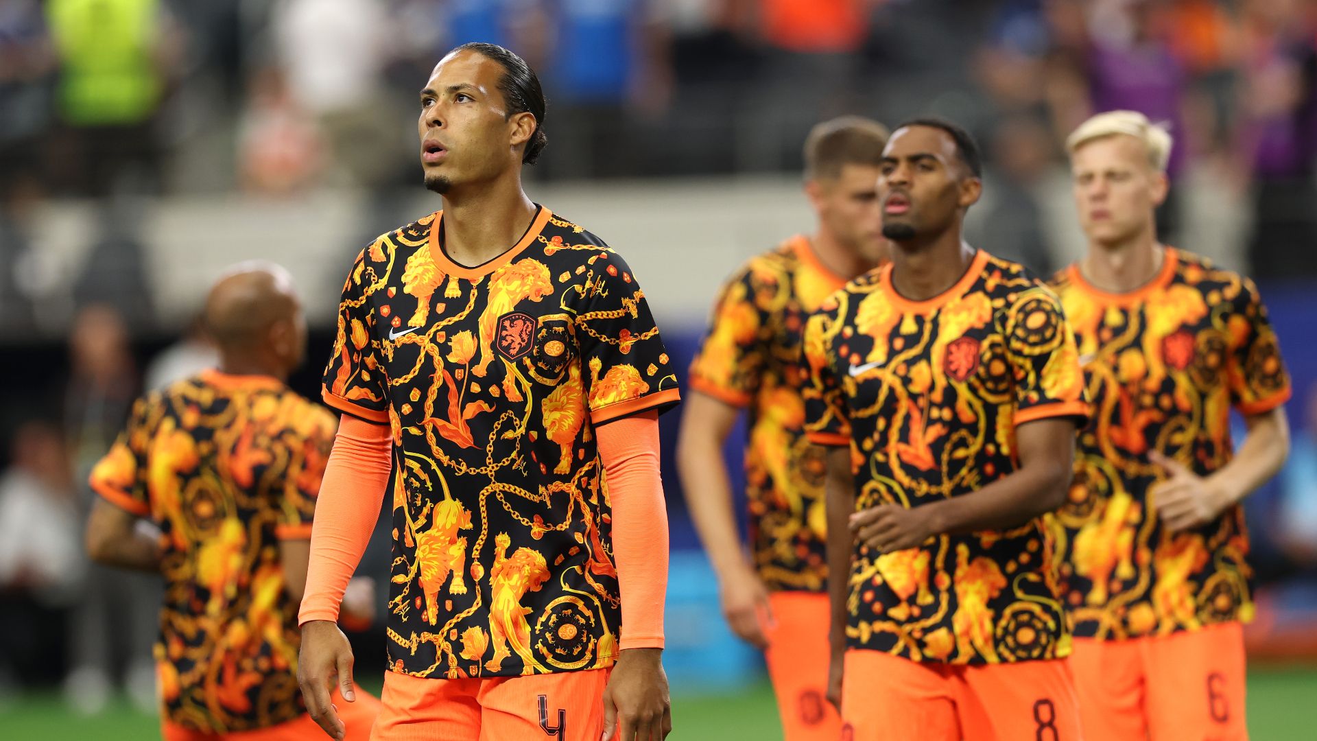 dijk