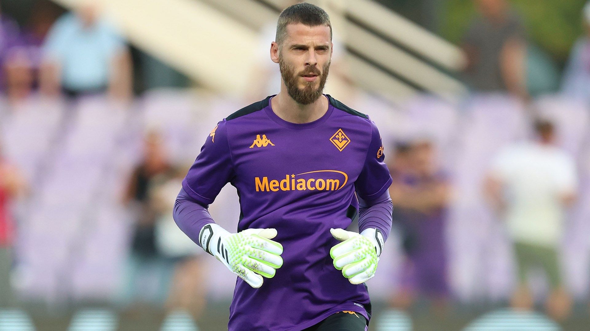 David De Gea Fiorentina 2024