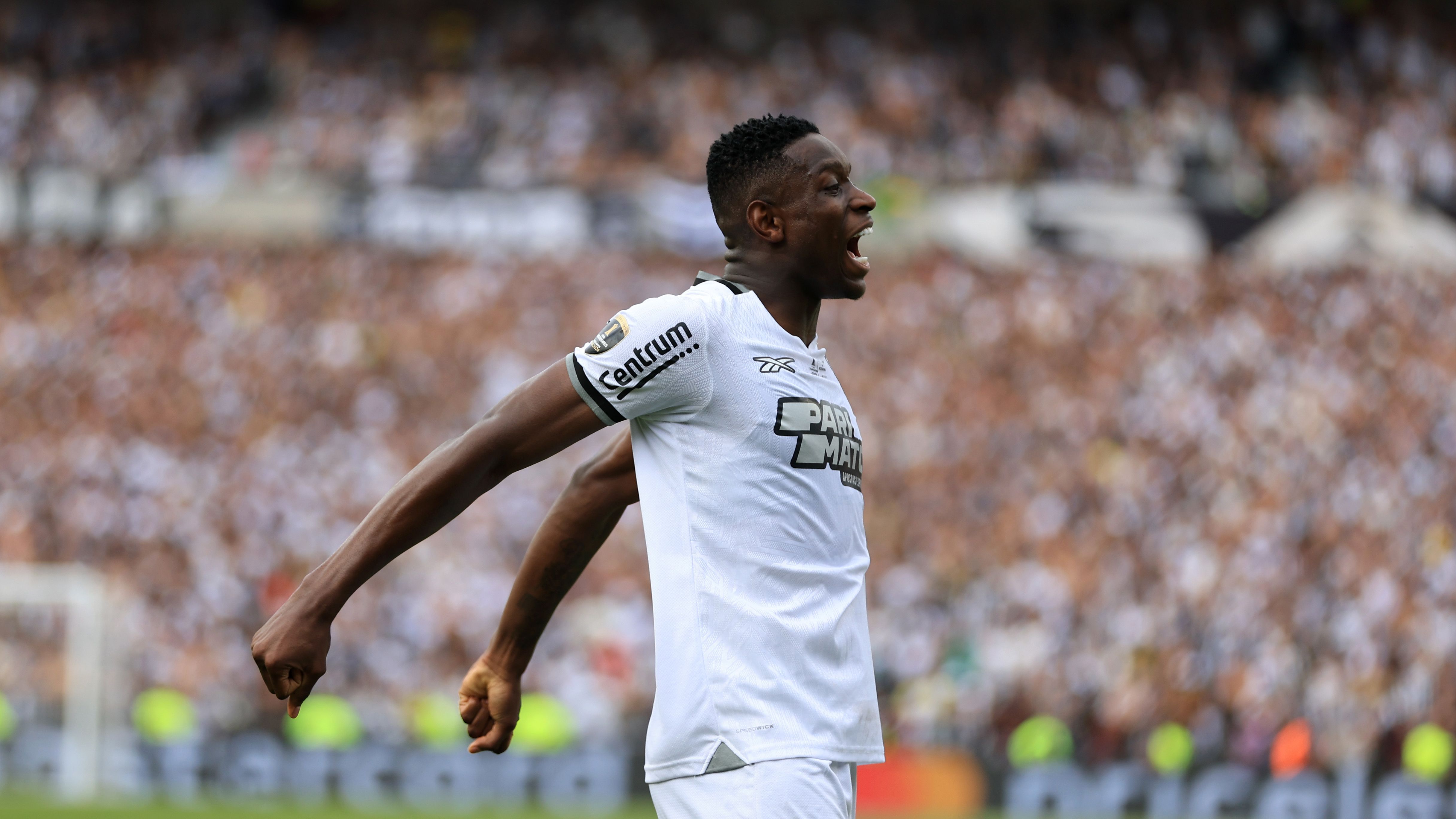 Luiz Henrique, Botafogo