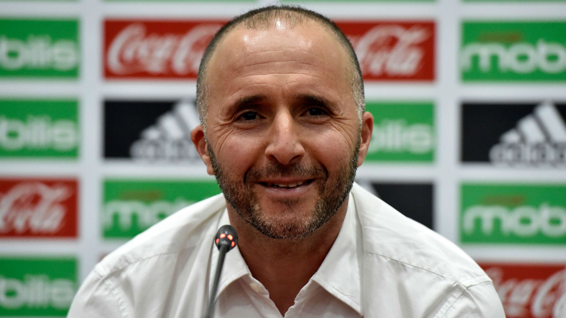 Djamel Belmadi Algeria