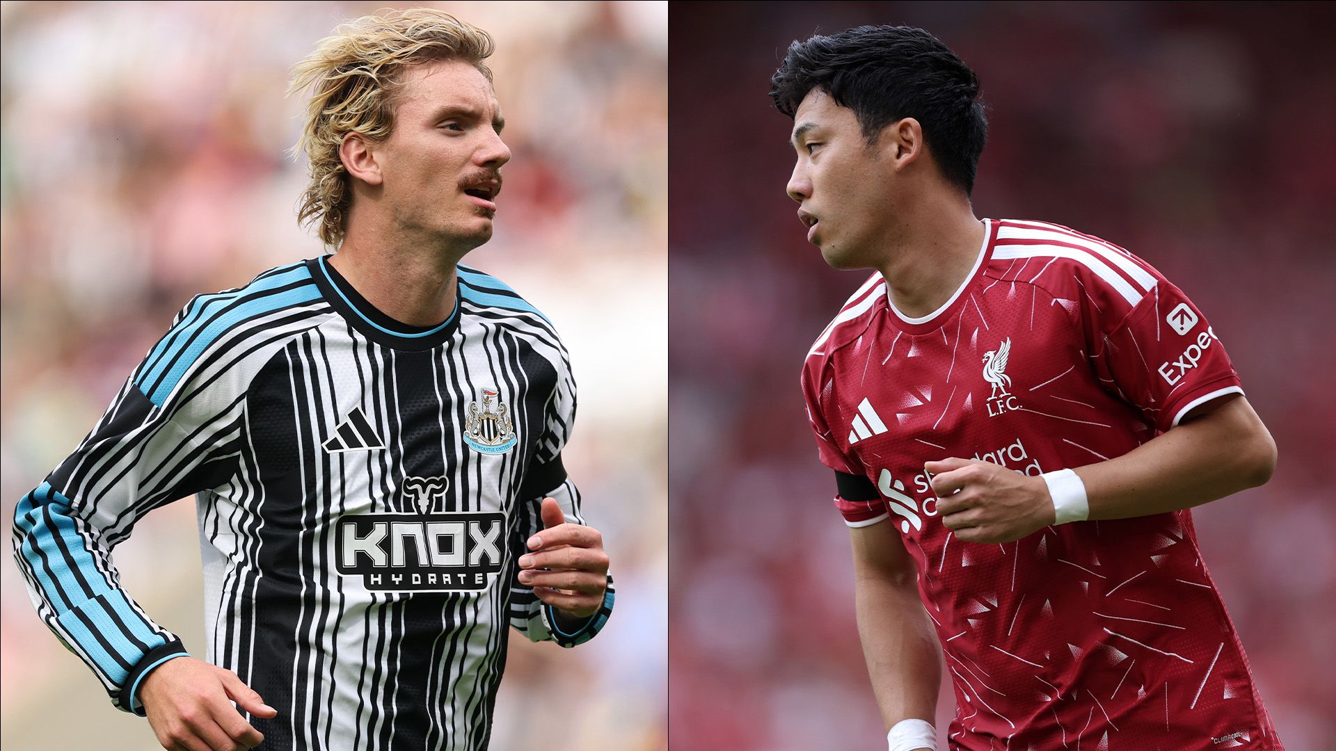 Newcastle Liverpool