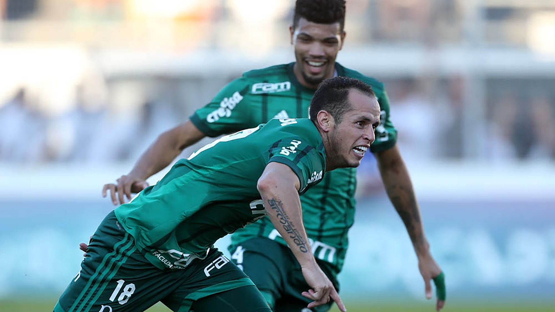 Ponte Preta Palmeiras Brasileirao Serie A 25062017