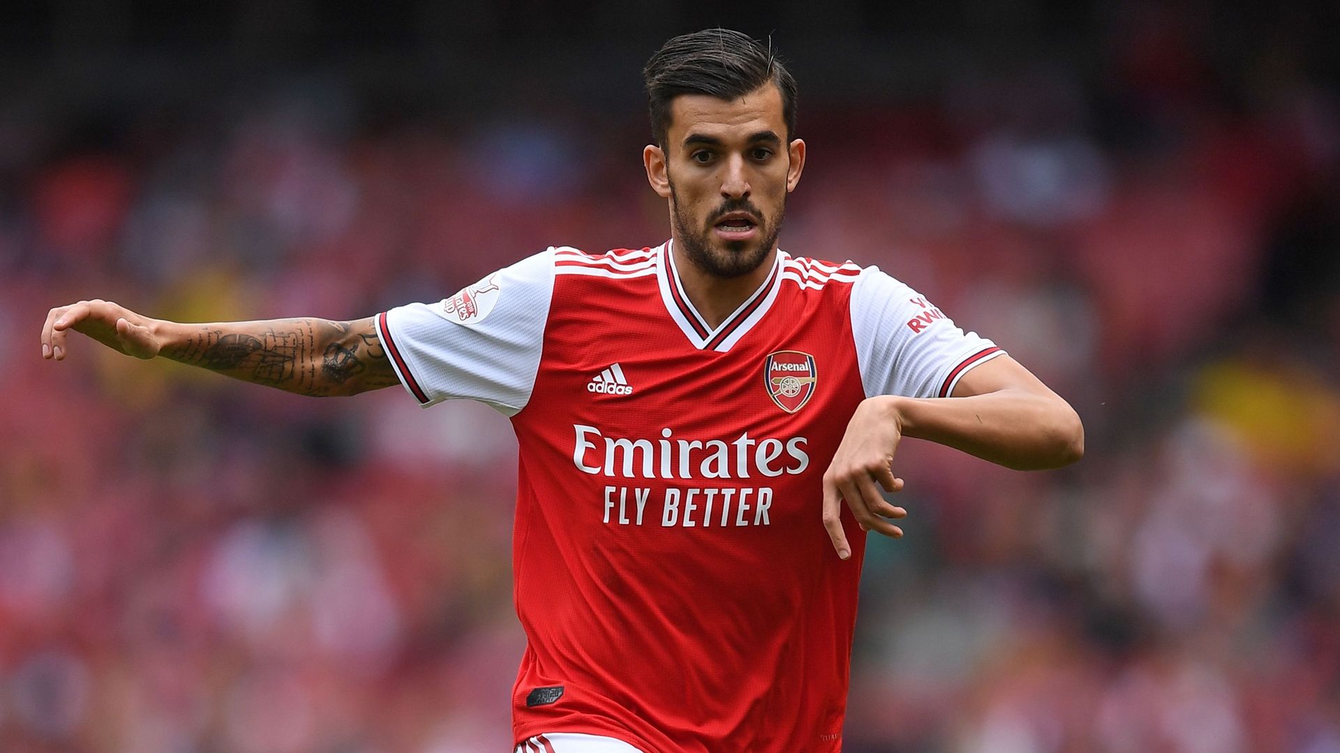 Dani Ceballos Arsenal