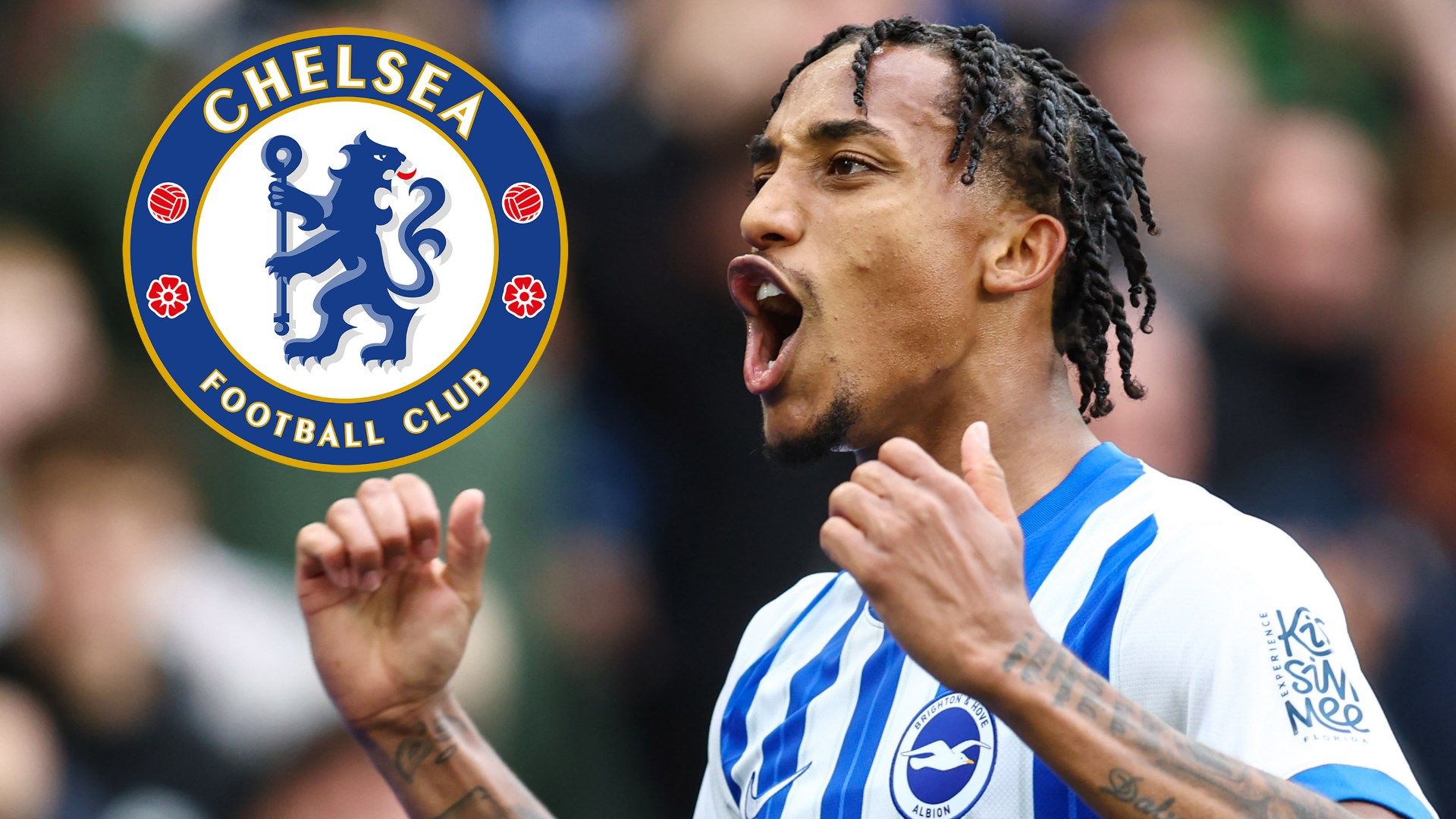 Chelsea confirm £60m Joao Pedro signing from Brighton in special samba announcement video | Goal.com UK