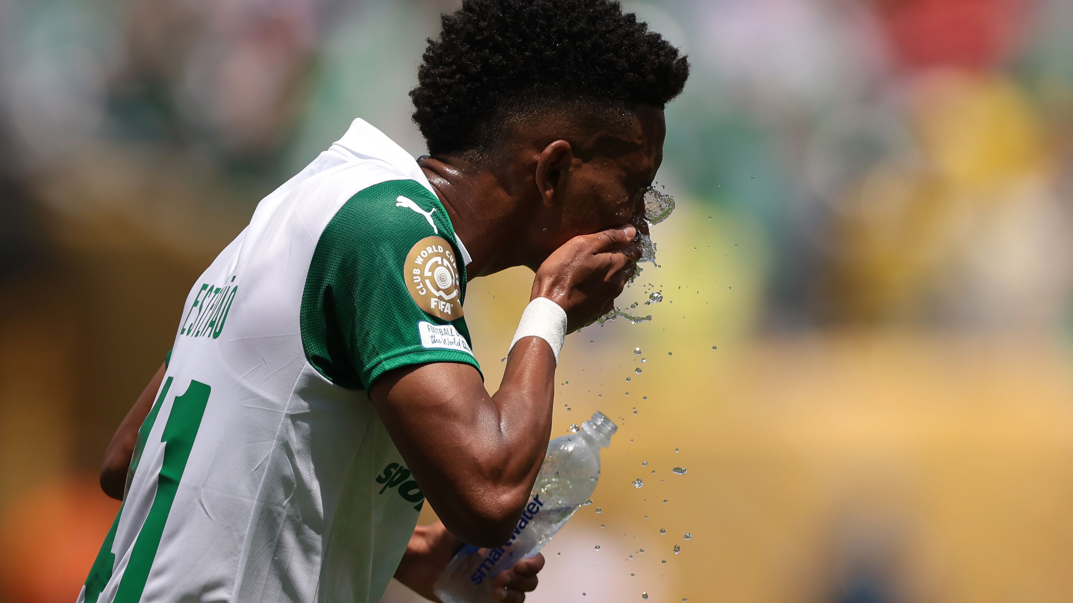 Estevao Palmeiras CWC