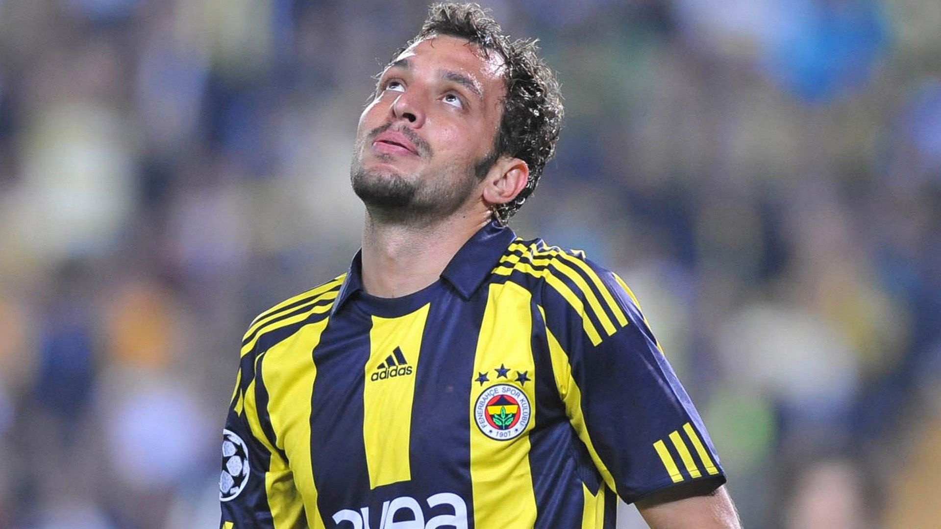 Edu Dracena Fenerbahce