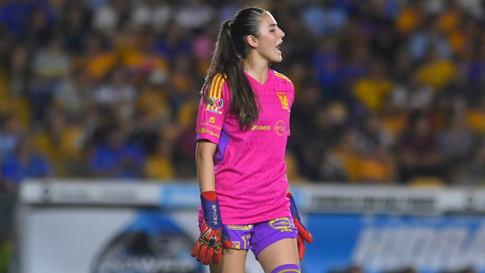 Mariangela Medina Tigres