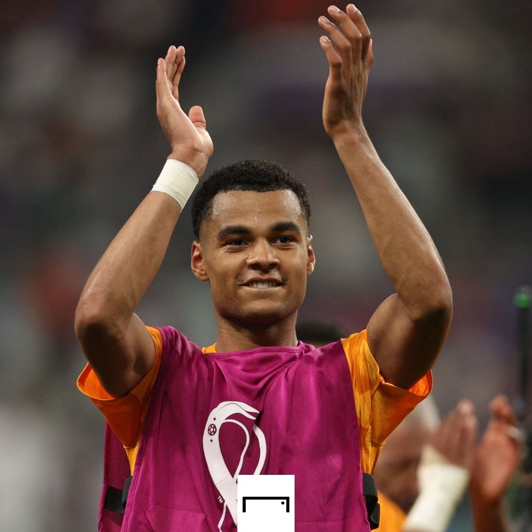 Cody Gakpo applaud Netherlands 2022 World Cup GFX