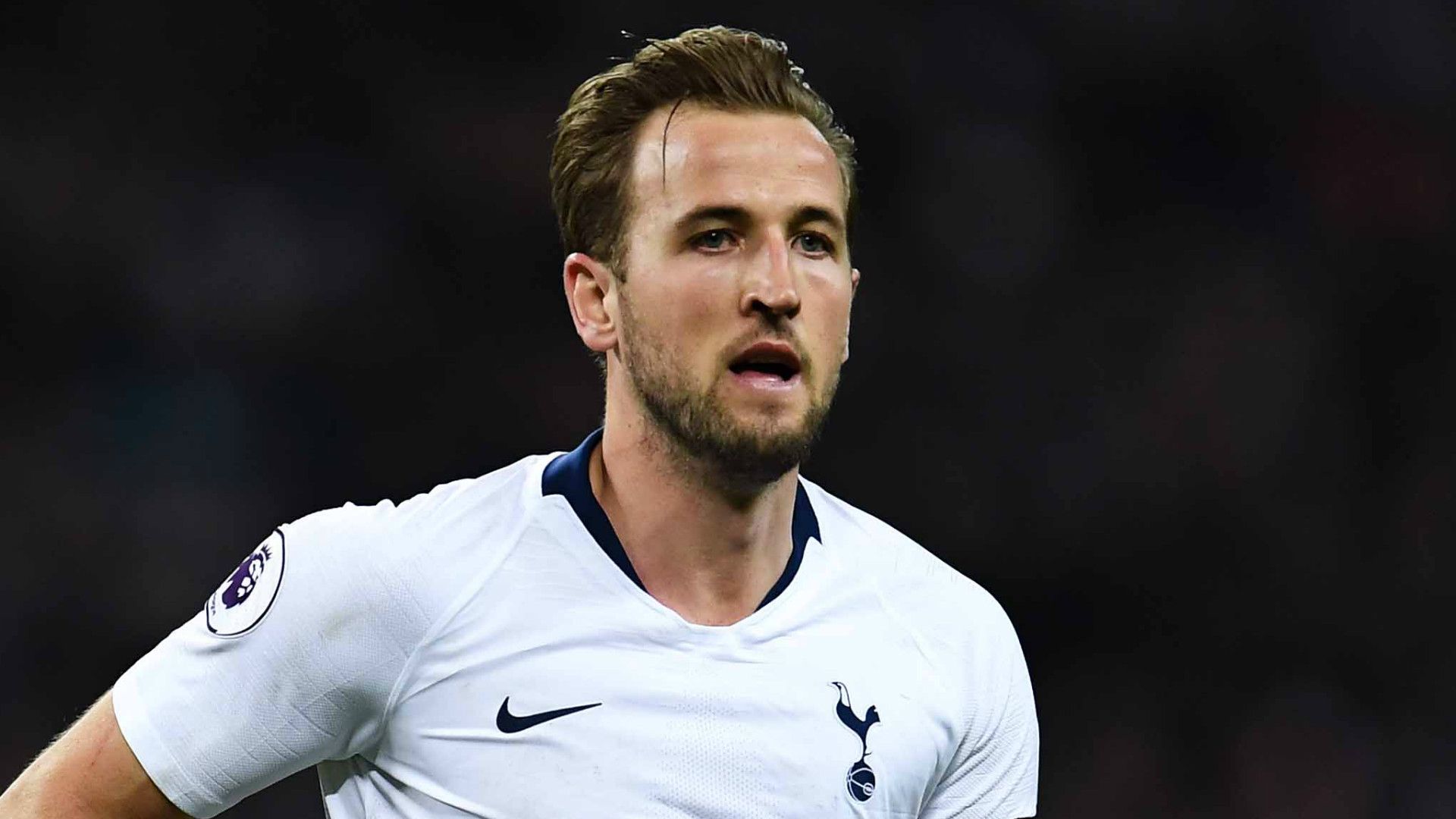 Harry Kane Tottenham 2018-19