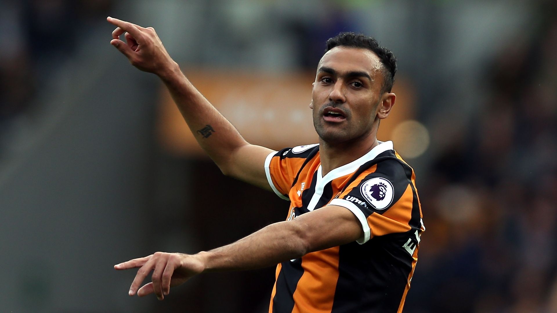 Ahmed Elmohamady