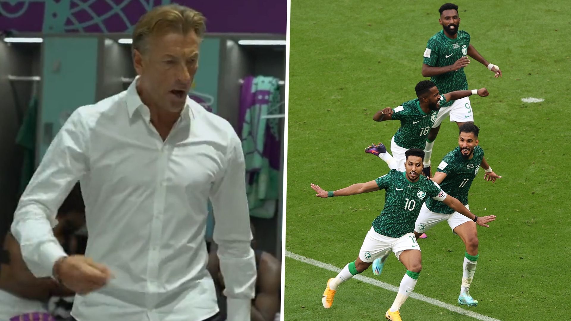 Renard Argentina Saudi Arabia