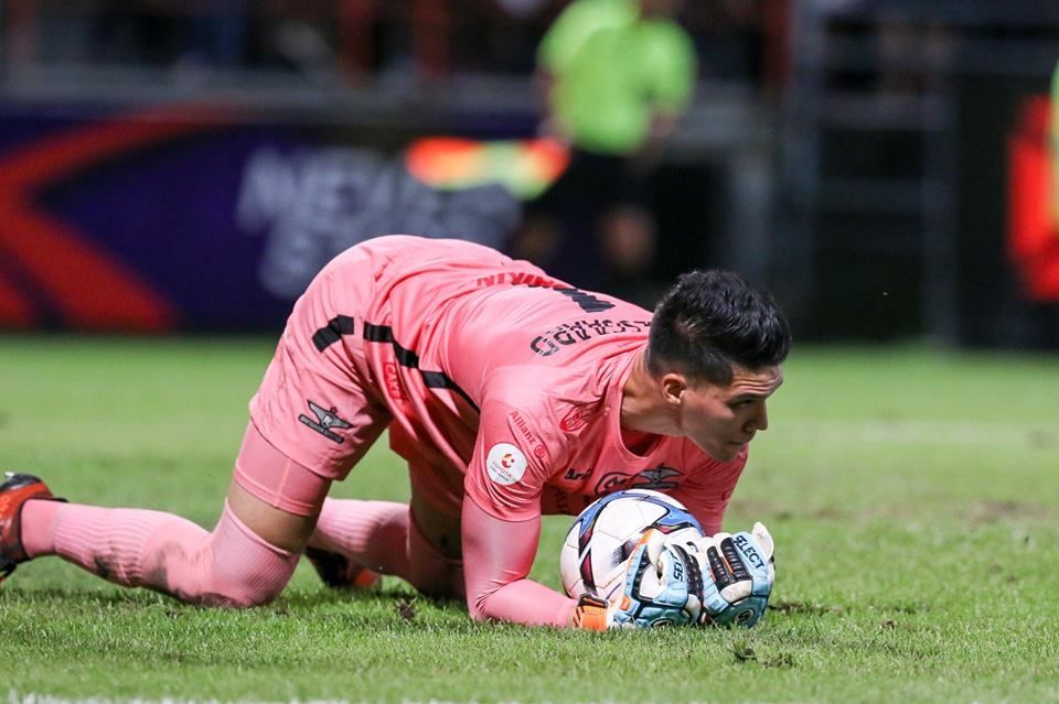 ไมเคิล ฟาลเคสการ์ด