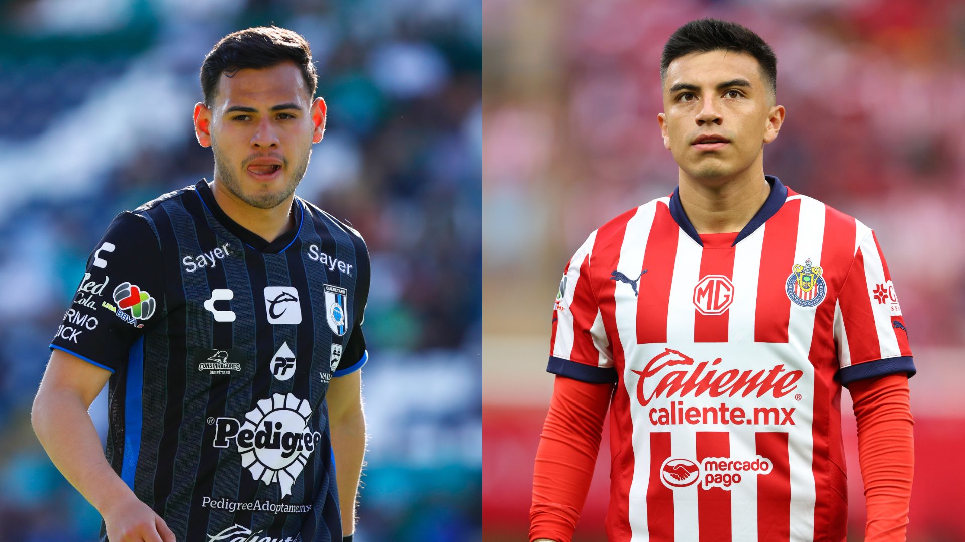 Querétaro Chivas Apertura 2024 Liga MX