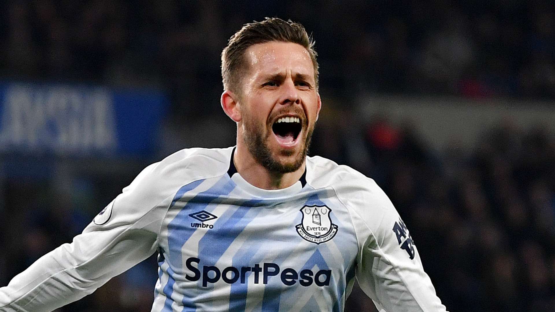 Gylfi Sigurdsson Everton 2018-19