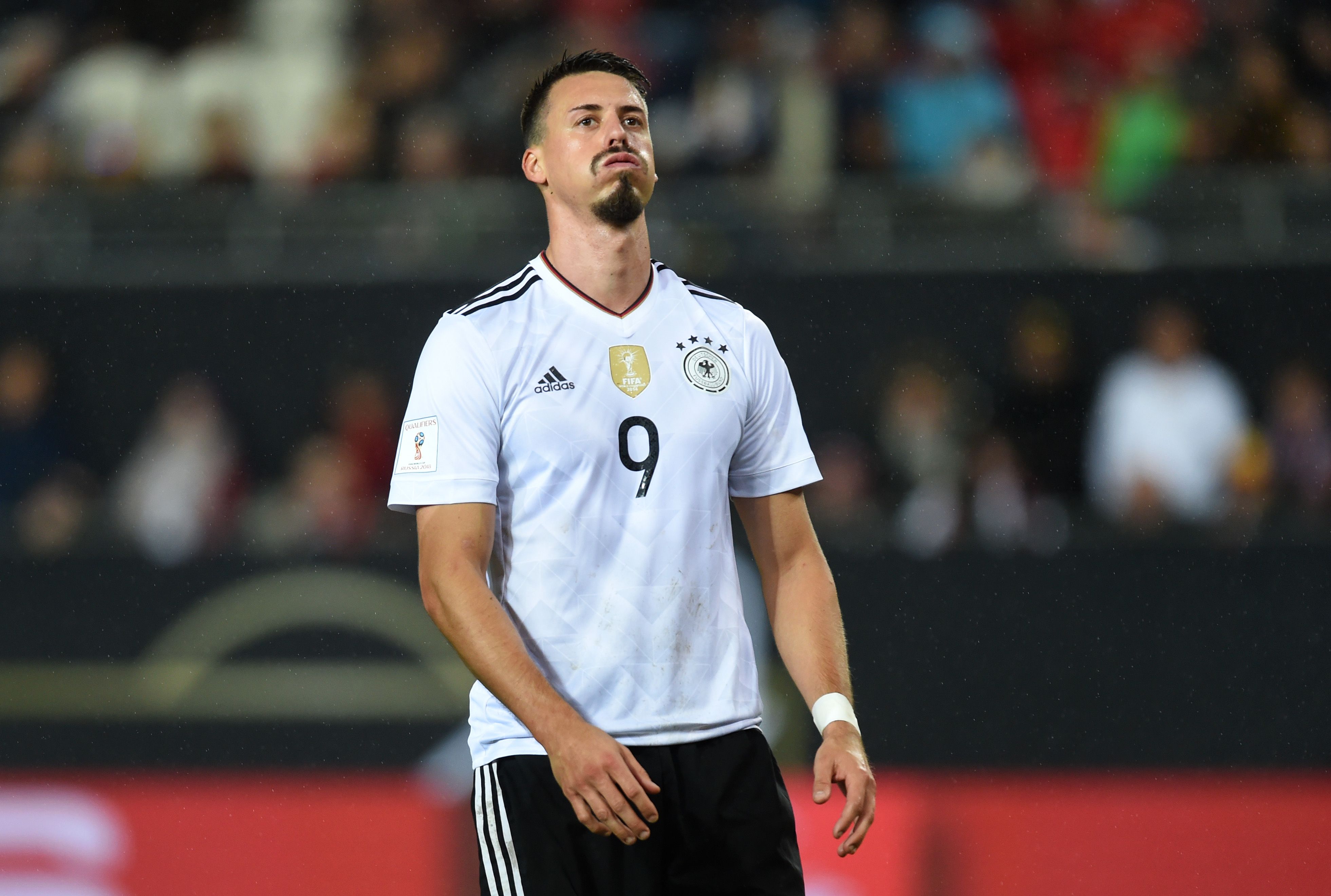 Sandro Wagner Germany