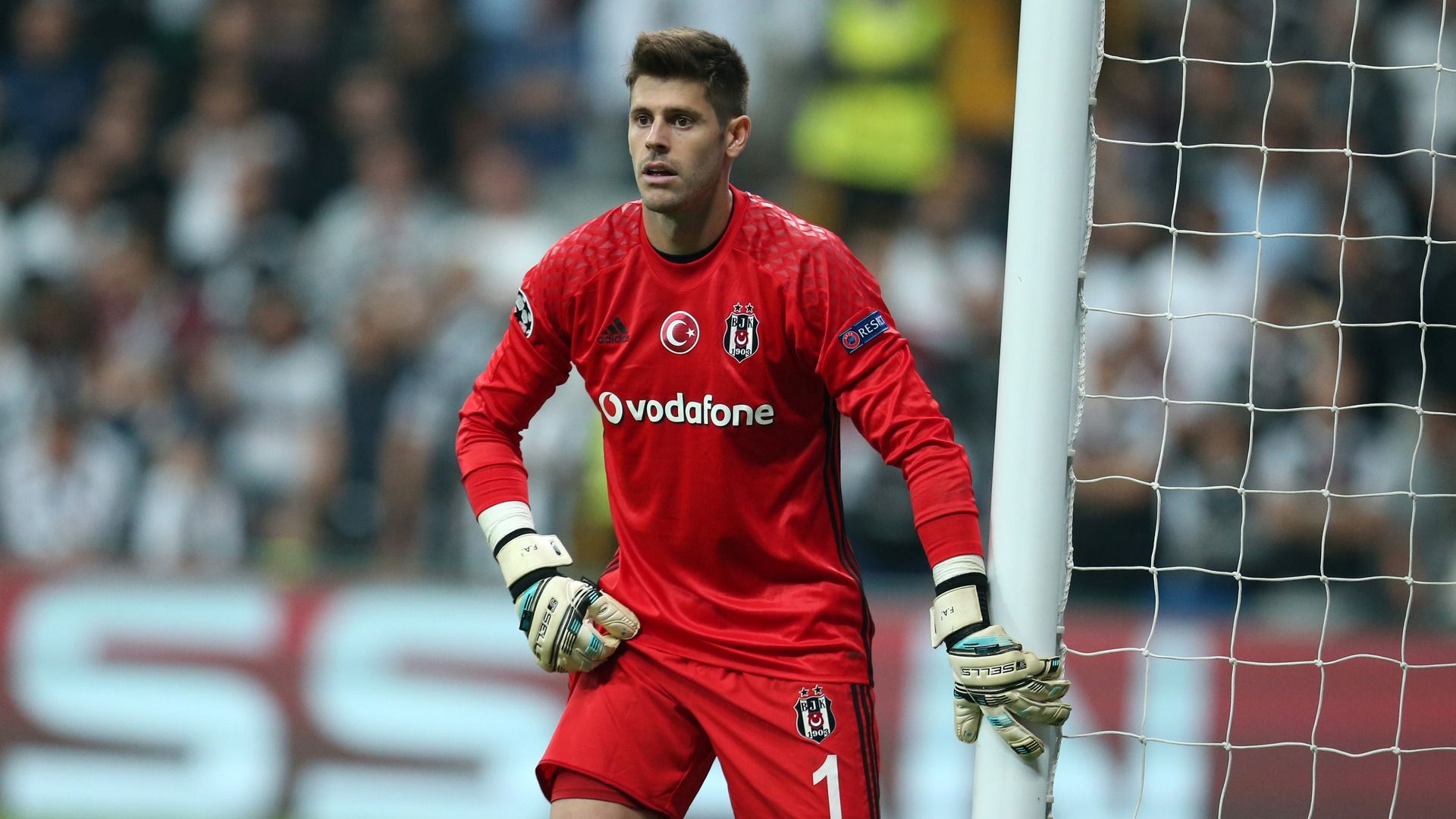Fabri Besiktas