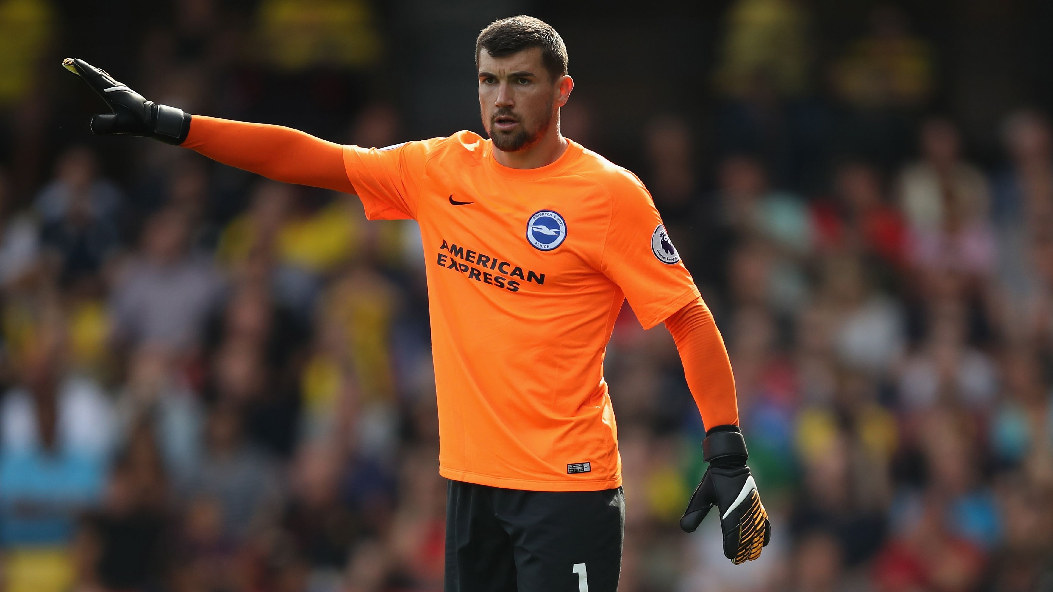 Mat Ryan Brighton