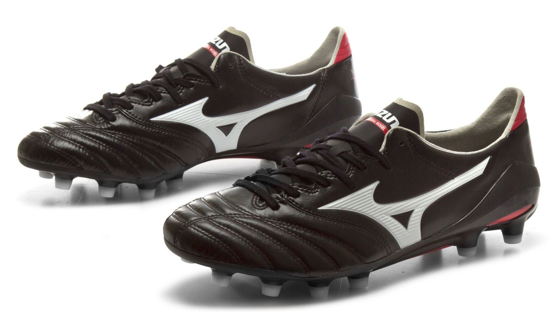 Mizuno Morelia