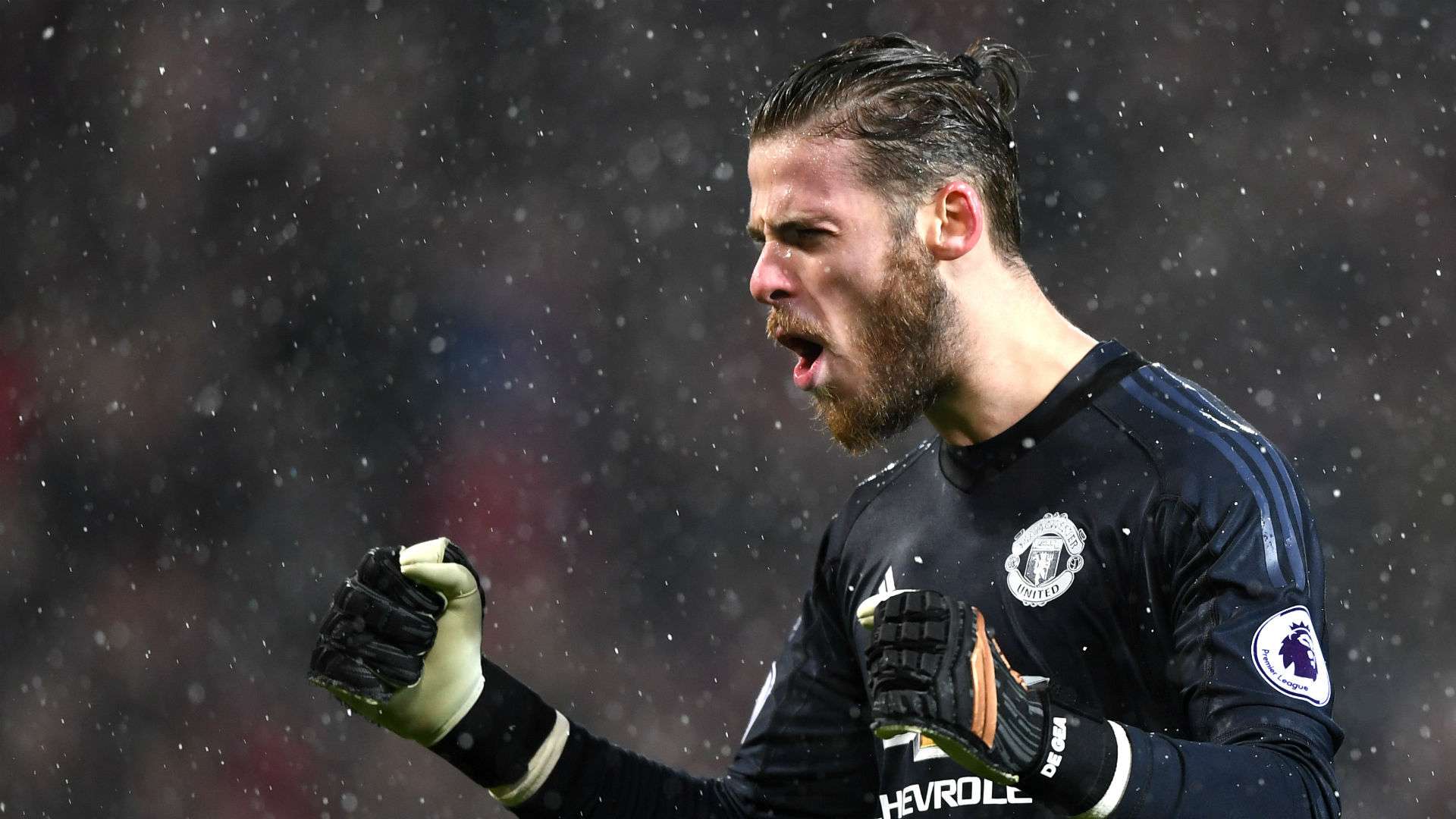 David De Gea Manchester United Premier League