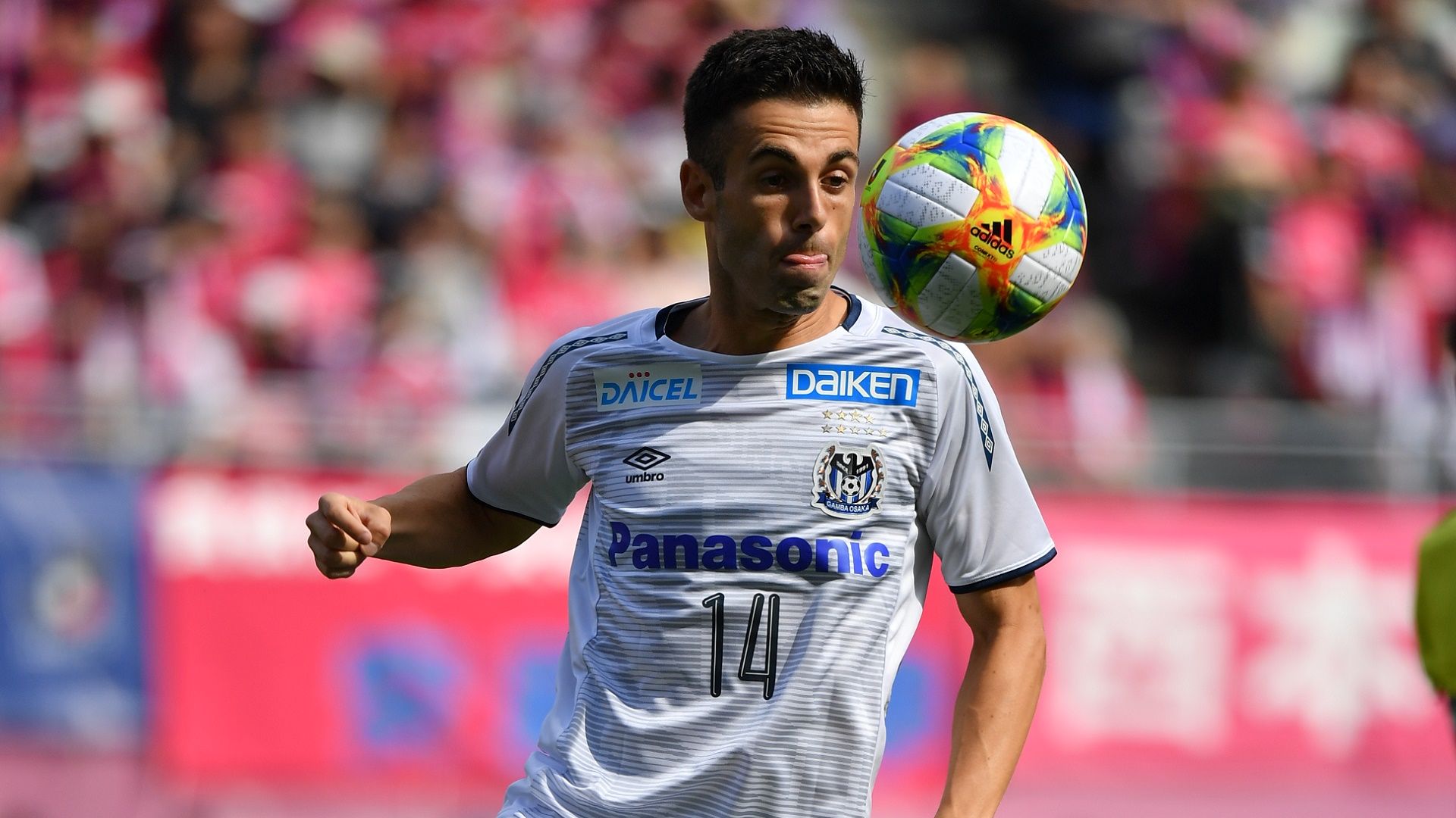 2020-01-16 Susaeta Markel