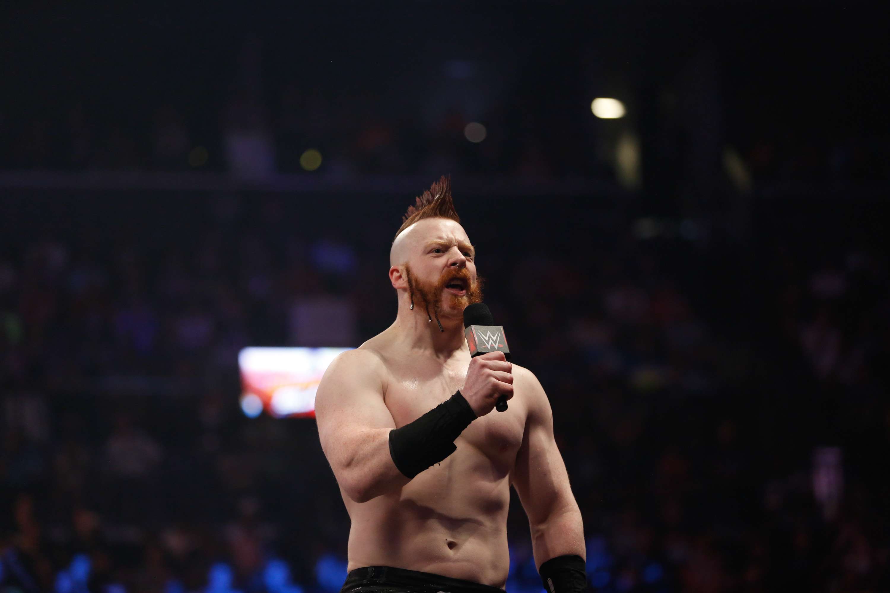 Sheamus WWE