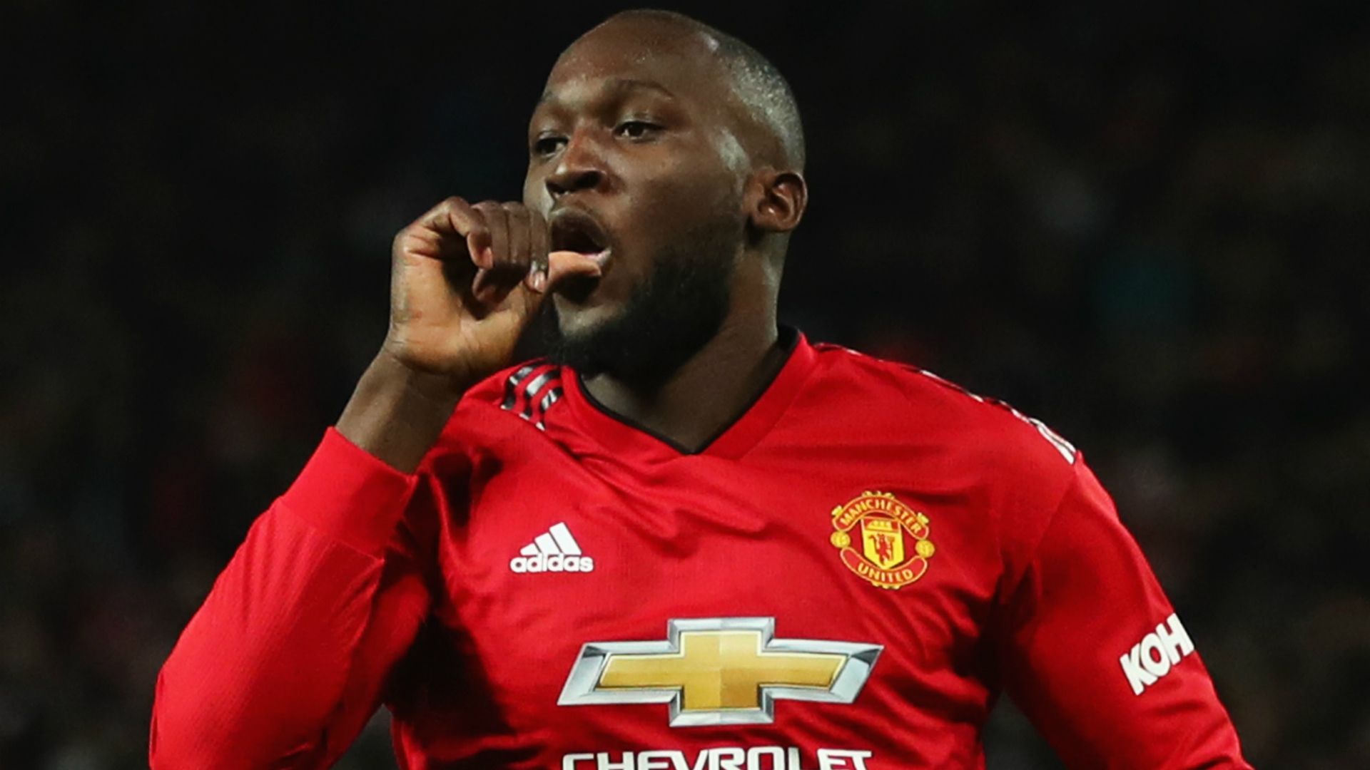 romelu lukaku - cropped